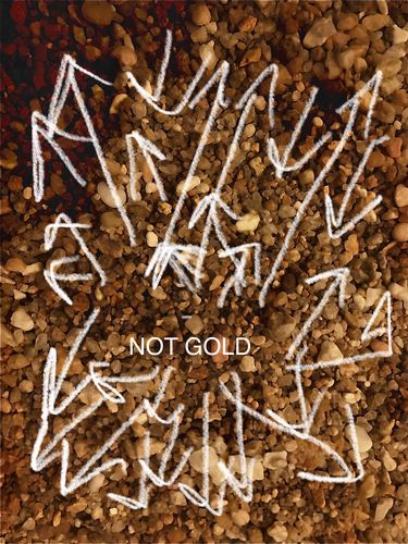 Customer photo review of 2 Lb. JACKPOT PAYDIRT™ Gold Paydirt Unsearched