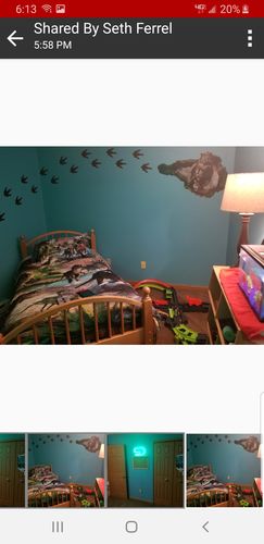 Customer photo review of The World of Dinosaur Bedding Set
