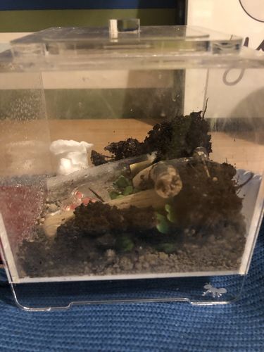 Customer photo review of AntKit Bundle 1