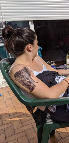 Customer photo review of Géo Éléphant