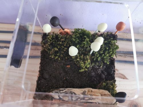 Customer photo review of AntKit Bundle 1