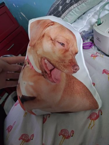 Customer photo review of Create A Custom Object Pillow