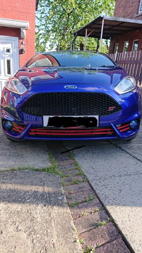 Customer photo review of Fiesta ST180 Fog Light Armour