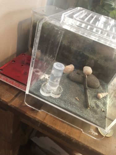 Customer photo review of AntKit Bundle 1