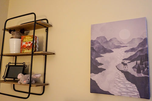 Customer photo review of Moose & Mountain Range