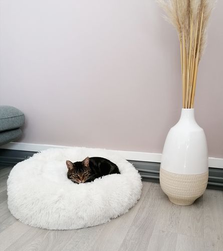 Customer photo review of Lit Apaisant Comfy® |  Pour Chien et Chat