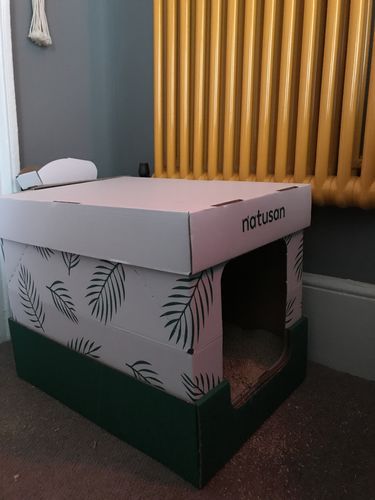 Customer photo review of Collect & Compost Service with Kit