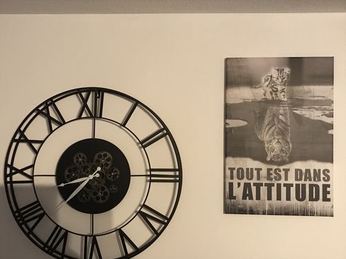 Customer photo review of Tableau Motivation Attitude Chat Tigre