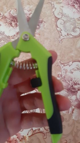 Customer photo review of AMIX Astschere - Schnipp schnapp Ästchen ab