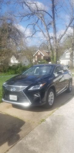 Customer photo review of Grand Finale Detailing Super Spray Easter