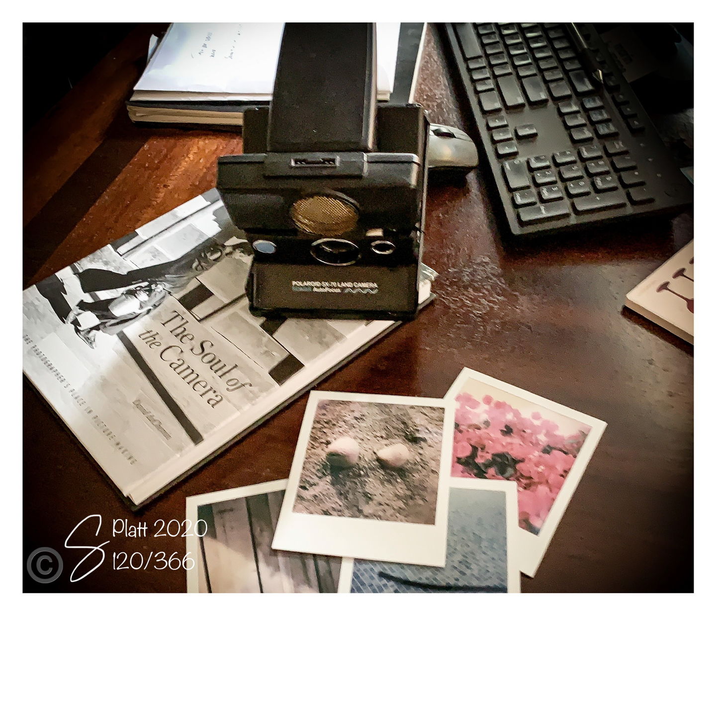 Customer photo review of Polaroid SX-70 Sonar Autofocus Black Folding Instant Film Camera