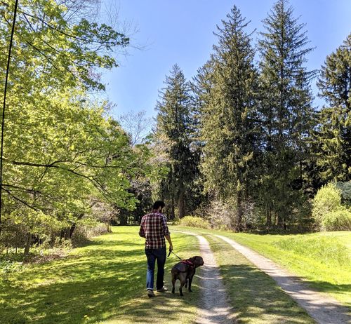 Customer photo review of Lifetime Warranty Personalized NO PULL Dog Harness (FREE Shipping)