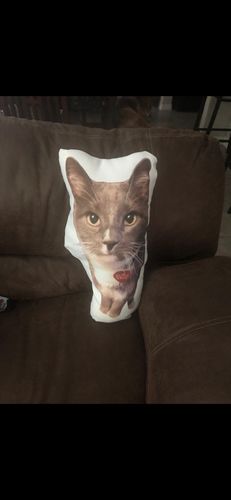 Customer photo review of Create A Custom Object Pillow