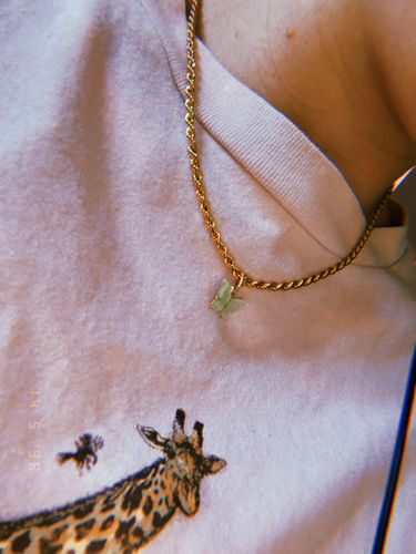 Customer photo review of Butterfly Rope Chain