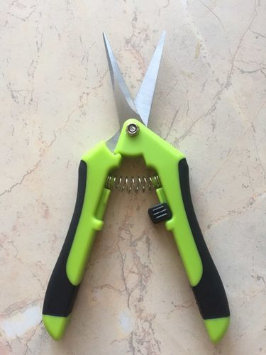 Customer photo review of AMIX Astschere - Schnipp schnapp Ästchen ab