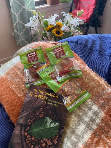 Customer photo review of Neon Bears | Best Value