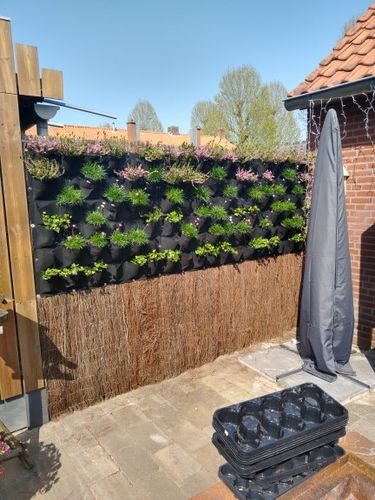 Customer photo review of VERTIKALO - die geniale Filzwand zum Bepflanzen