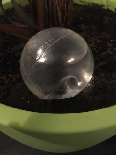 Customer photo review of TRINKI - die Trinkkugel für deine Pflanze