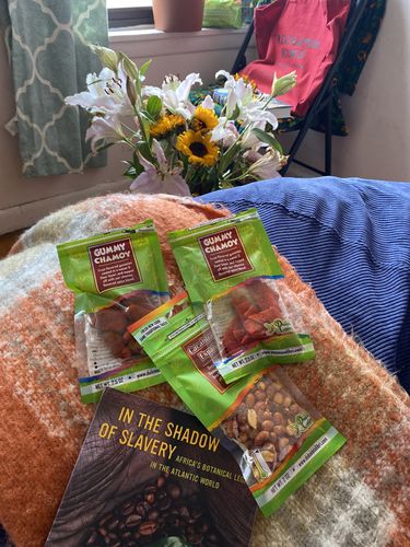 Customer photo review of PINEAPPLE BELTS | PREMIUM