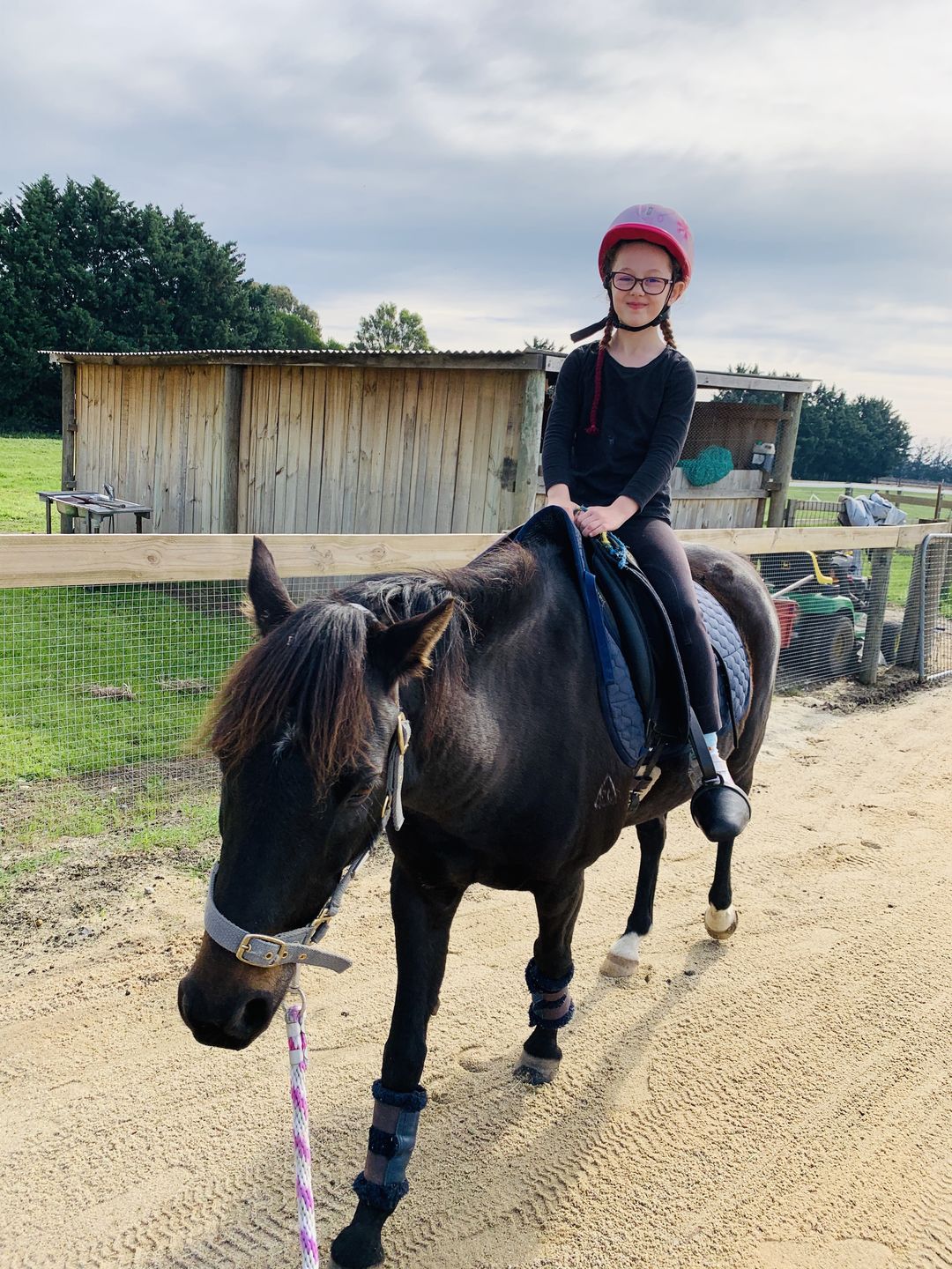 Customer photo review of Kentaur ‘Neo’ Non Slip Saddle Pad