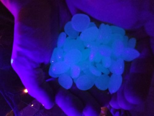 Customer photo review of LET'S GLOW - die dekorativen Leuchtsteine für den Garten