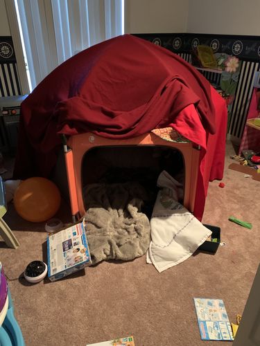 Customer photo review of Pop N' Go® Playpen