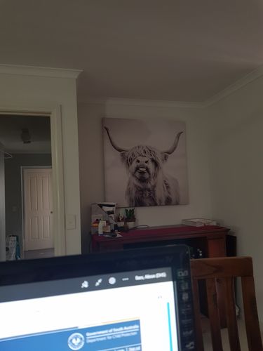 Customer photo review of Yak Face - Canvas Print ART - CN272 - 60x60cm