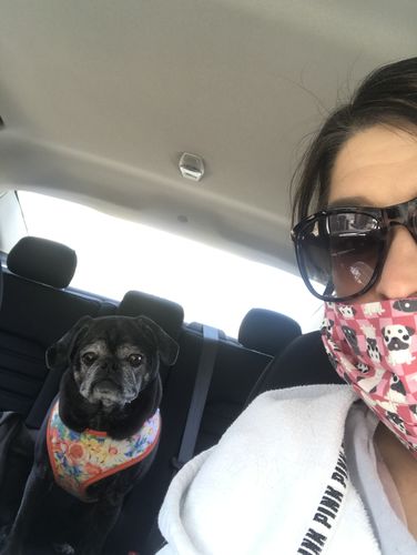 Customer photo review of Handmade mask (French bulldog & Pug print)