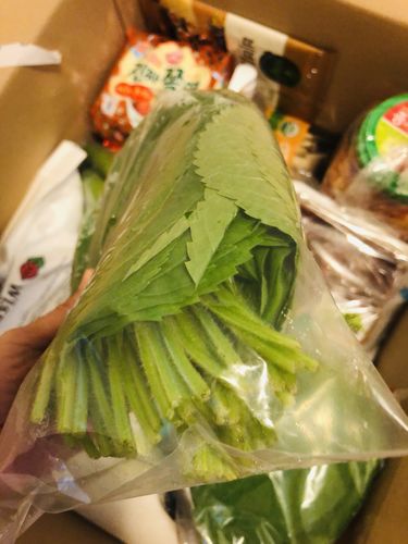 Customer photo review of [Galleria] Sesame Leaves 5 bunches