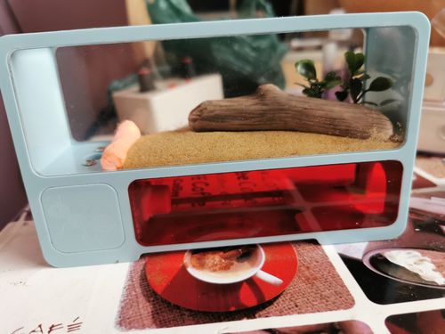Customer photo review of AntKit AntHome Test Tube Formicarium
