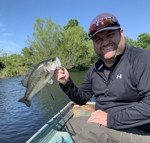 Customer photo review of Headbanger RockerHead 3-pack