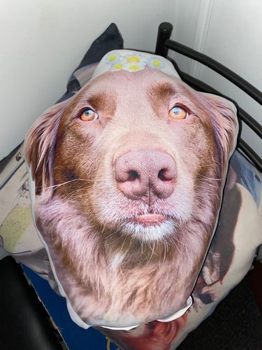 Customer photo review of Create A Custom Dog Pillow