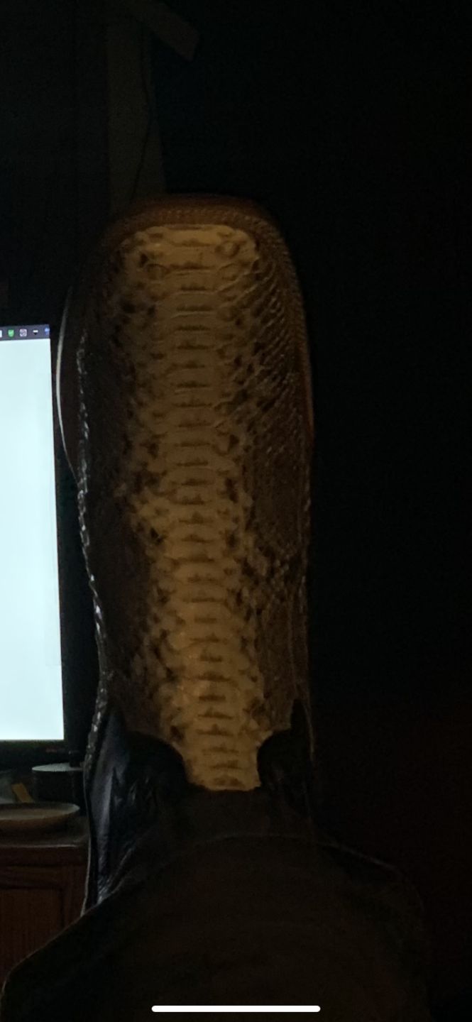 Customer photo review of Cowtown Men’s Square Toe Python Boot Q818