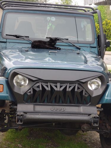Customer photo review of Shark Grille - Matte Black (97 - 06 Wrangler TJ )