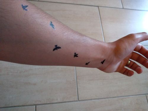 Customer photo review of Envole d'oiseaux