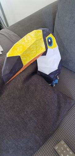 Customer photo review of Toucan