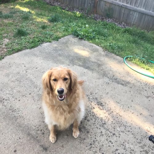 Customer photo review of It's OK To Ask For Help (Black Cat) -- Sweatshirt