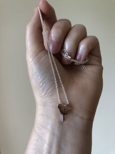 Customer photo review of Treat Yourself Necklace - Silver