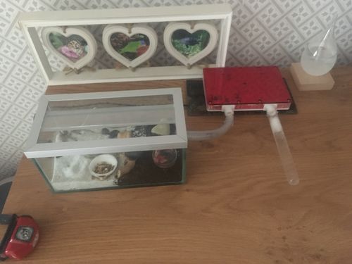 Customer photo review of AntKit Acrylic Nest Series 4 (Size 8)