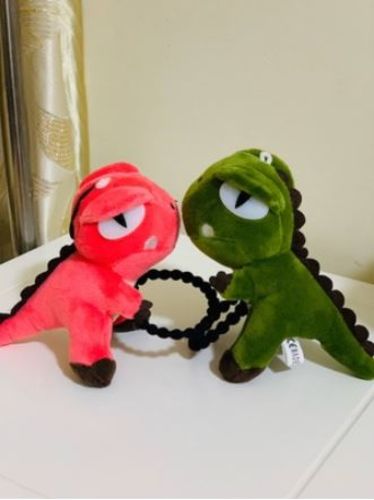Customer photo review of Charmant by Witty Socks™  Dinosaure Collection │Handmade