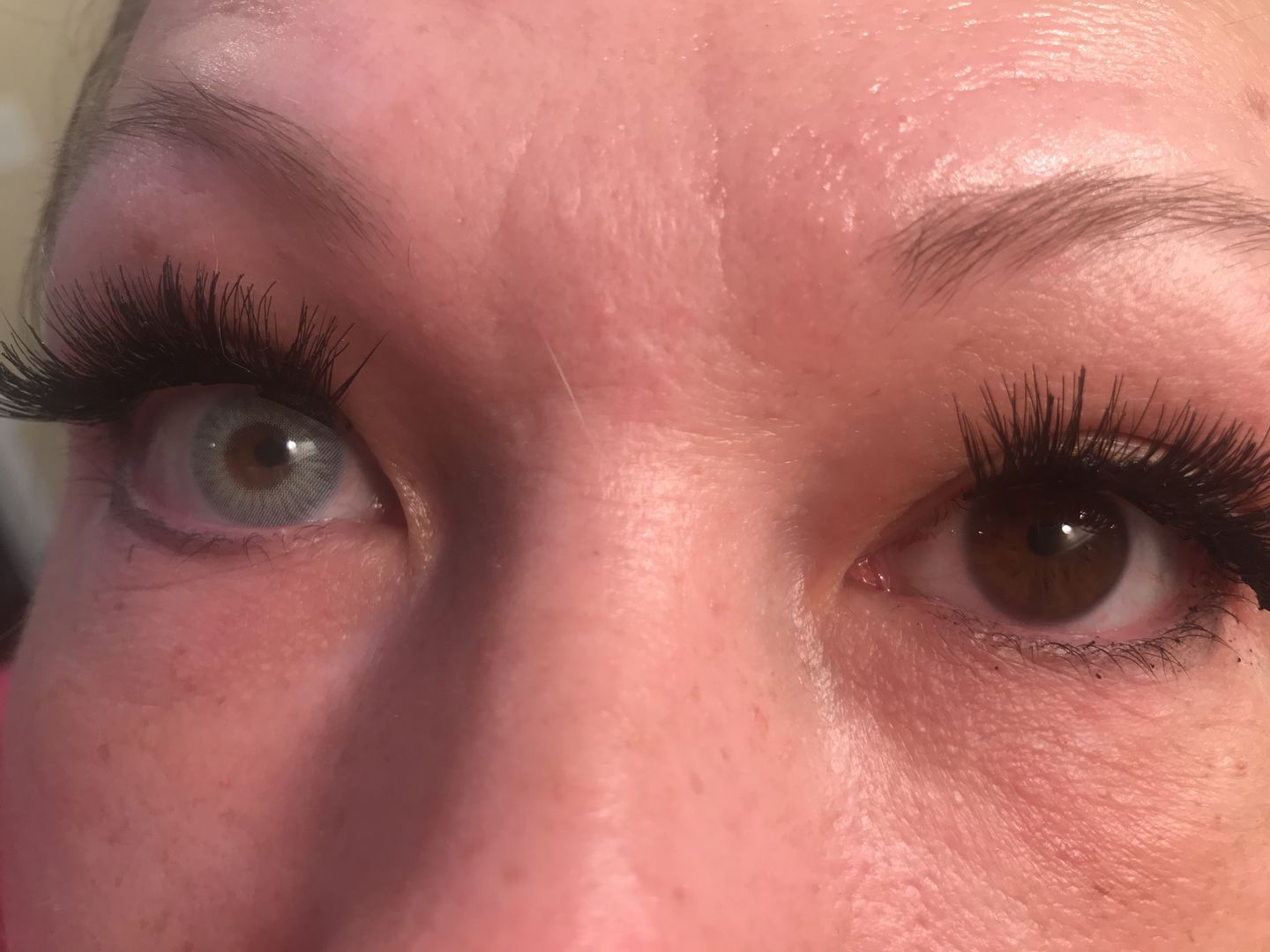 Customer photo review of Siesta Original Aqua