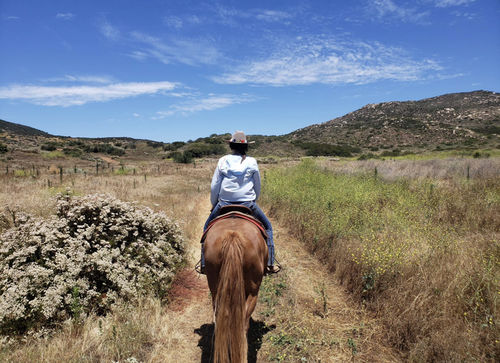 Customer photo review of Habit Women's Salmon Cove Lightweight Hooded Pullover