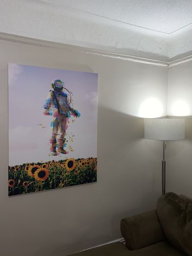 Customer photo review of The Plane Traveler Canvas Set