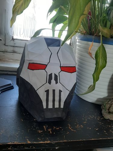 Customer photo review of Iron Man
