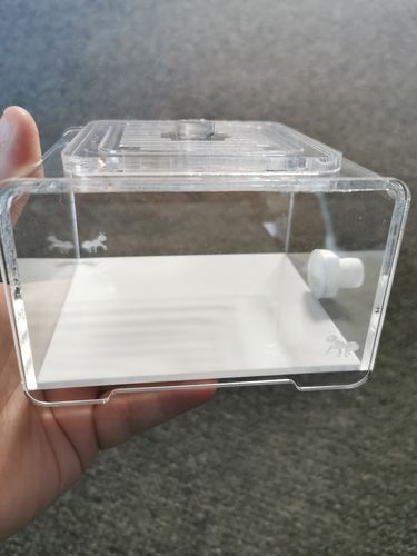 Customer photo review of AntKit Acrylic Arena B500