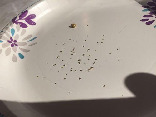 Customer photo review of 10 Lb. NUGGET RESERVE ELITE™ Gold Paydirt Unsearched