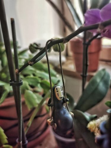 Customer photo review of Baguettes Japonaises en Bois Foncé