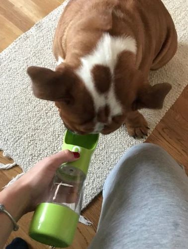 Customer photo review of Pet Soif & Faim