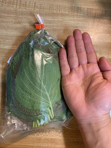 Customer photo review of [Galleria] Sesame Leaves 5 bunches