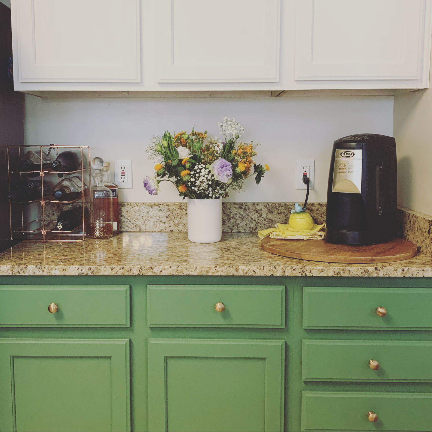 Customer photo review of Pasha White - One Step Paint